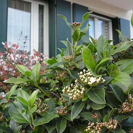 Casa Di Clara Guest house Portogruaro